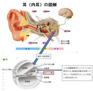 ISOBIDE