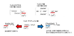 Fe2-Fe3
