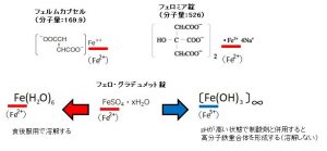 Fe2-Fe3-solution
