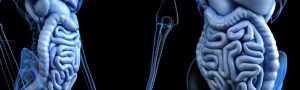 anticiotics-Intestinal-flora-DAV132