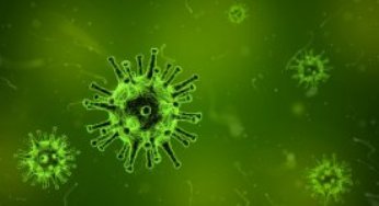 カルシウム拮抗薬がインフルエンザウイルスの感染を予防する