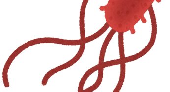 強力ポステリザン軟膏に含まれる大腸菌死菌浮遊液のはたらきを患者様へお伝えする