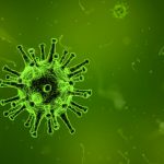 influenza-CCB