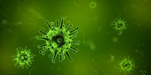influenza-CCB