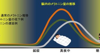 アルコールと睡眠薬を一緒に飲んだ時の脳内のイメージ