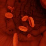 act017-platelet-gpⅥ