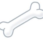 bone