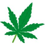 大麻
