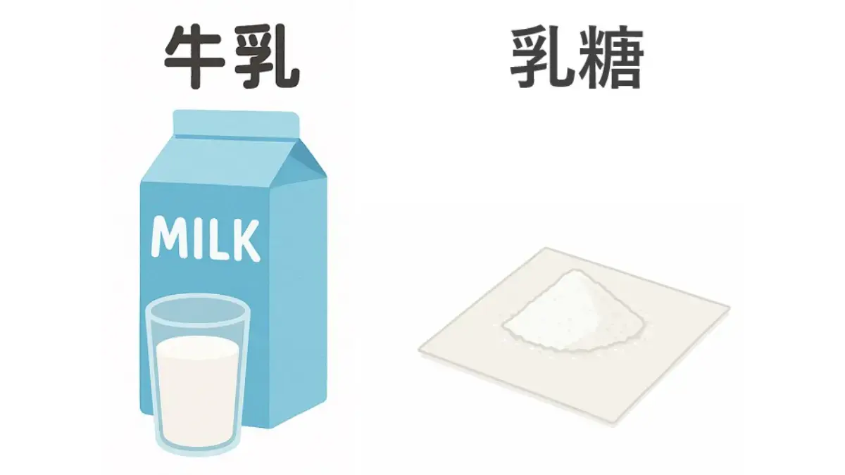 牛乳と乳糖