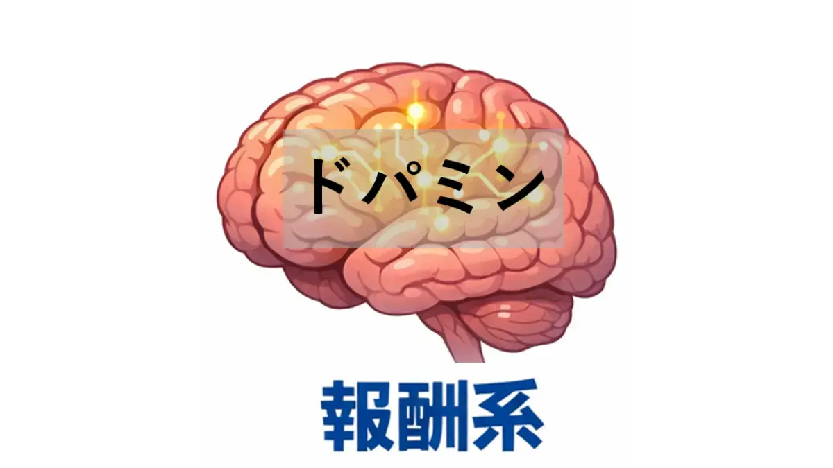 ドパミン
