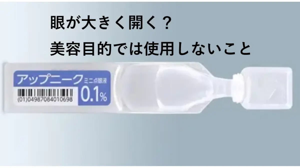 アップニークミニを美容目的