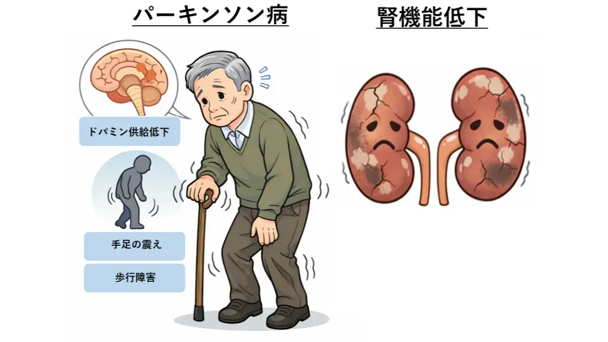 パーキンソン病と腎機能