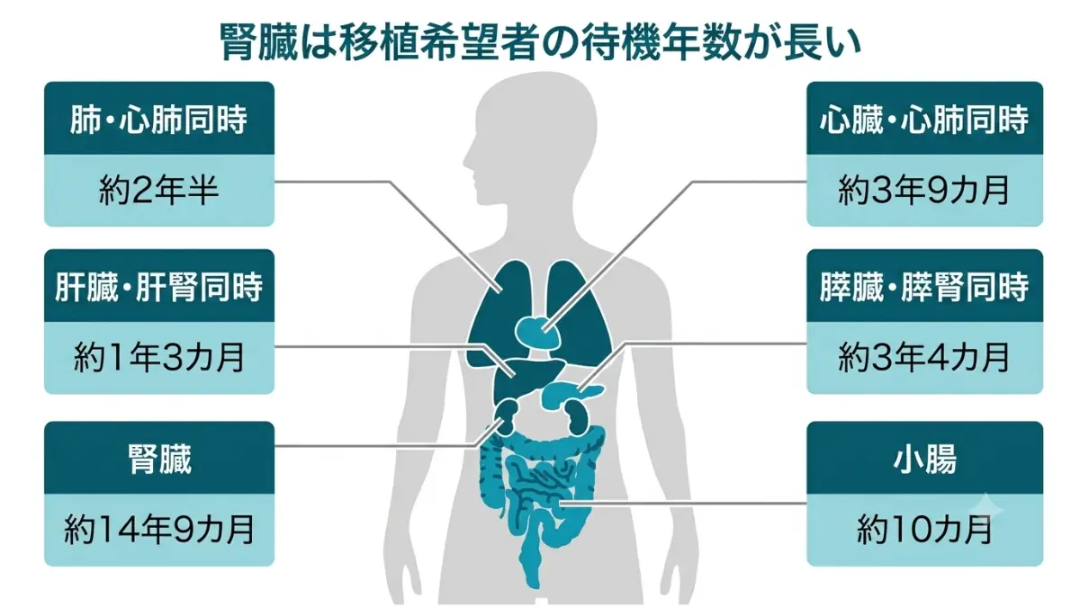 臓器移植